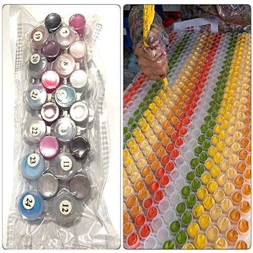 YANXIN DIY Paint by Numbers Adults,16x20 Inch Canvas Painting by