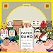 Paper Sumo