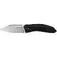 Kershaw Turismo Leaf Blade Pocket Knife 2.9 inch Blade, Assisted Opening Frame Lock, 5505, Black, 2.8 Ounce