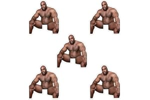 JJIJIAN 5Pcs Funny Barry Wood Light Switch Sticker Decals，3''x3.4'' Waterproof Vinyl Stikers for Laptop Window Wall Car Bumper Helmet, Joking Prank Tease Artifact Stickers for Adult（Barry Wood Sitting On Bed