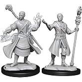 D&amp;D Nolzur's Marvelous Miniatures: Half-Elf Wizard Male