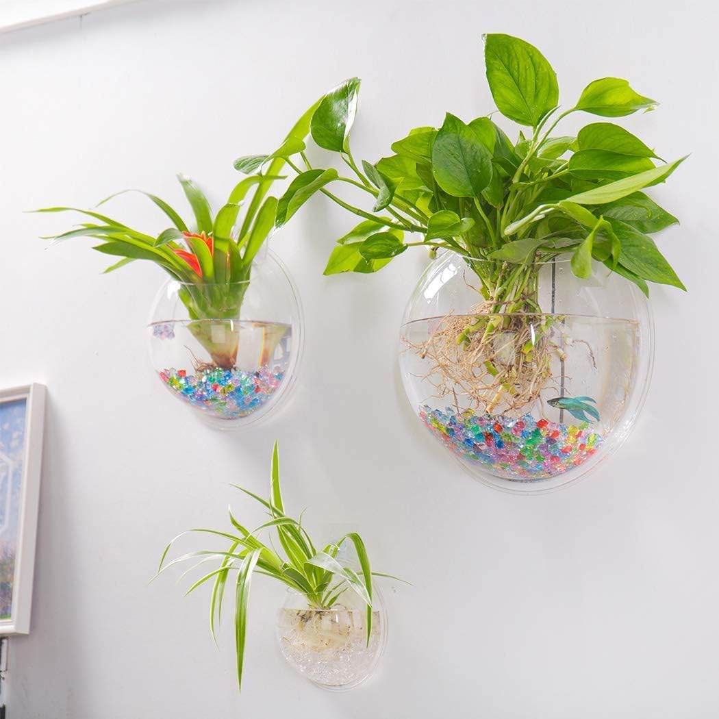 Uotyle Hanging Wall Mounted Fish Bowl Aquaponic Tank Aquarium Plants Fish Bubble Clear (diameter 7.6 inches)