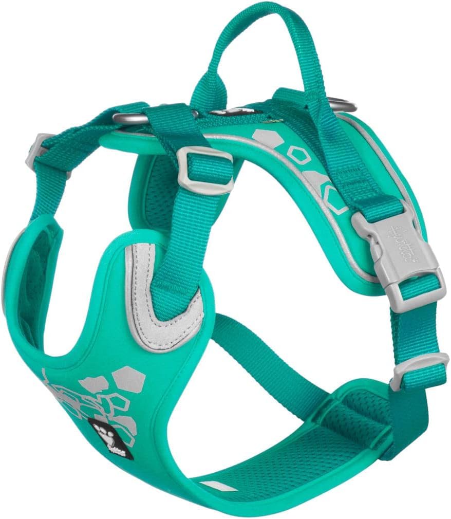 Hurtta Weekend Warrior Dog Harness for Medium Dogs, Peacock Turquoise, 45-60 cm