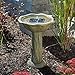 SmartSolar 20633R01 Acadia Solar Birdbath, Medium, Olive Green