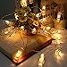 MHtech 30 LED Photo Clips String Lights, 10 Ft LED Clips Lights Warm White Battery Powered Fairy Lights LED for Hanging Photos Pictures Cards Artwork and Memos (10ft Warm White)
