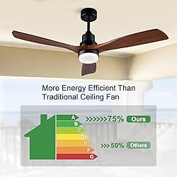 BOJUE 52 Inch Ceiling Fans with Lights and Remote
