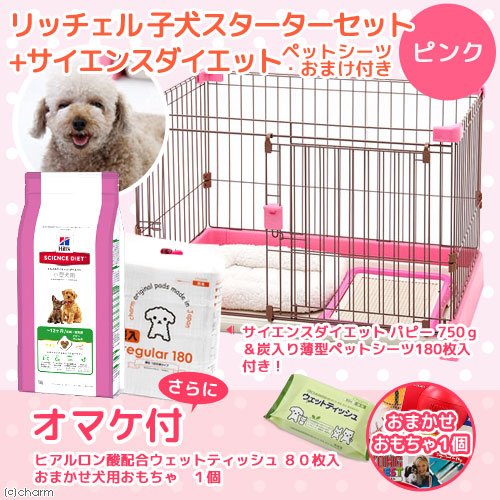 上質で快適 リッチェル 子犬スターターセット ピンク サイエンスダイエット750g おまけつき おまかせおもちゃ1個 ウェットティッシュ1個 B01m 送料込 Phcouros Com Br