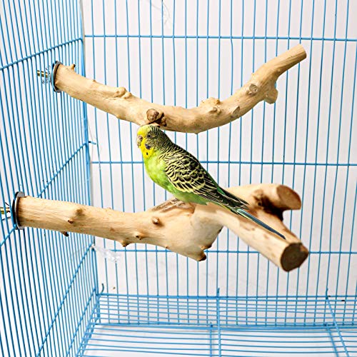 Roundler 5 PCS Bird Perch Wood Stand Pole，Bird Wood Perch Platform Exercise Playground Toy for Pet Parrot Budgie Parakeet Cockatiel Conure Lovebirds Cage Accessories Toys (H01)