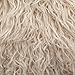 Fake Faux Fur Curly Alpaca Latte 58 Inch Wide Fabric by The Yard (F.E.®)