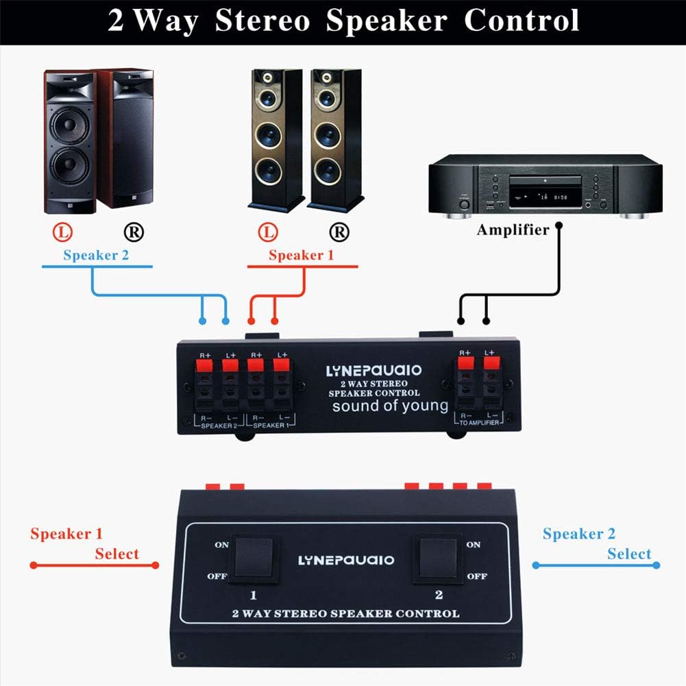 passive speaker switch