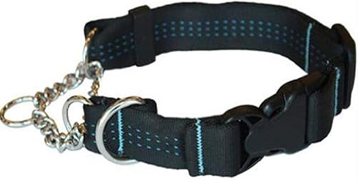 anti itch home remedy for dogs