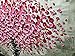 Desihum-3D Art Pink Flowers Oil Paintings On Canvas Long Square Modern Wall Art Home Decor Artwork for Living Room Dinning Room Office Abstract Picture.(20