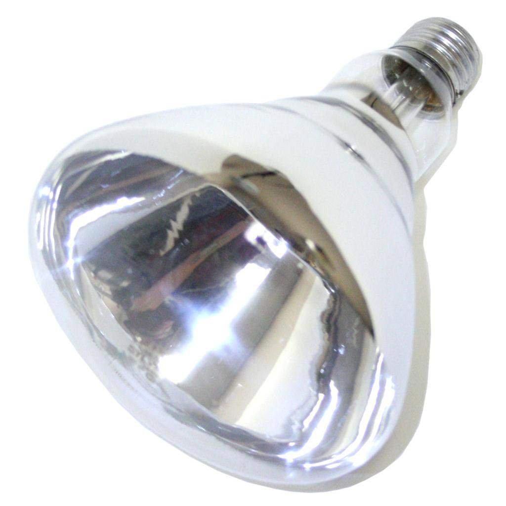 Which Is The Best Heat Lamps And Cooling Lamps For Tortoise