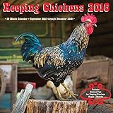 Keeping Chickens 2016: 16-Month Calendar September 2015 through December 2016 by 