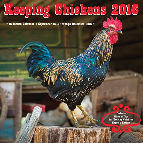 Keeping Chickens 2016: 16-Month Calendar September 2015 through December 2016 by Editors of Rock Point