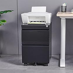 2 Drawer File Cabinet with Lock,Under Desk File