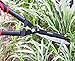 Utopia Home Hedge Shears - 23 Inches in Length - Carbon Steel Blades
