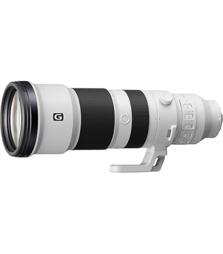 Amazon.com : Sony FE 200-600mm F5.6-6.3 G OSS Super Telephoto Zoom