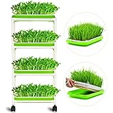 4 Layers Sprout Trays with Extra Strength Plastic Shelf Soil-Free Healthy Wheatgrass Seeds Grower & Storage Trays for Garden 