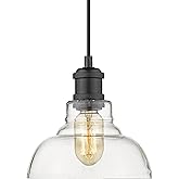 Golden Lighting Carver 1-Light Pendant in Black with Clear Glass Shade