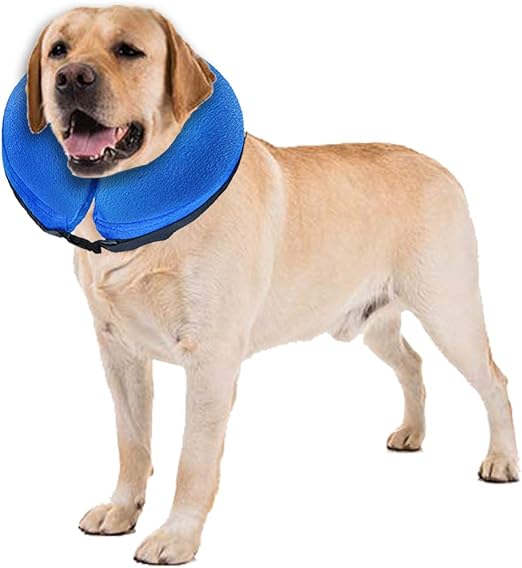 blow up dog collar amazon