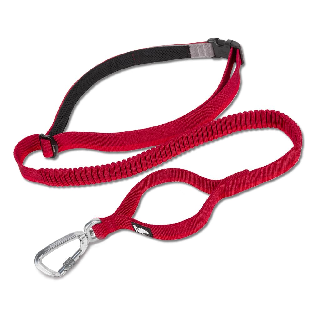 Truelove Bungee Dog Lead Hands Free Leash Adjustable Elastic Shock Absorbing Long Cord TLL2271 (L, Red)