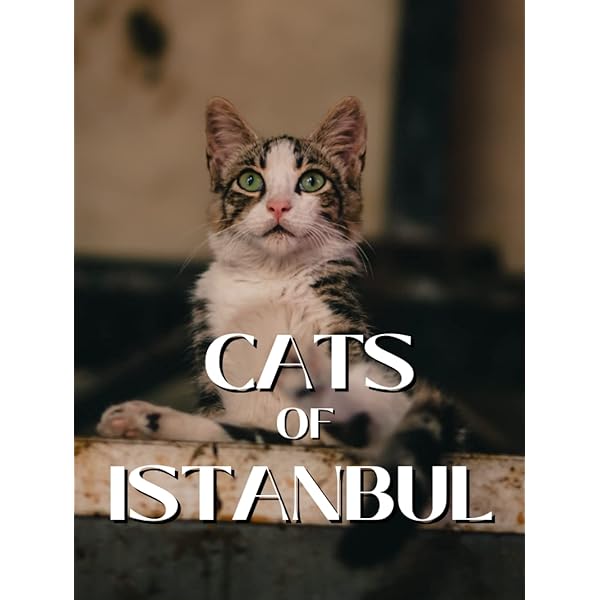 美本　Ara Güler 作品集　アラ・ギュレル Ara Guler's Istanbul