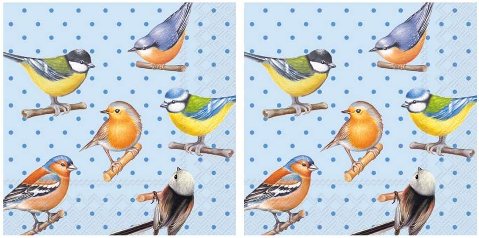 Scout and Company Colorful Song Birds and Dots Cocktail Napkins - Cute Designer Cocktail Napkins 3-ply, 40 count - For Barware, Beverage Serviettes and Cocktail Party