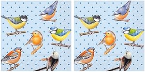 Scout and Company Colorful Song Birds and Dots Cocktail Napkins - Cute Designer Cocktail Napkins 3-ply, 40 count - For Barware, Beverage Serviettes and Cocktail Party