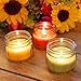LumaBase Citronella Scented Candle Collection - Set of 3