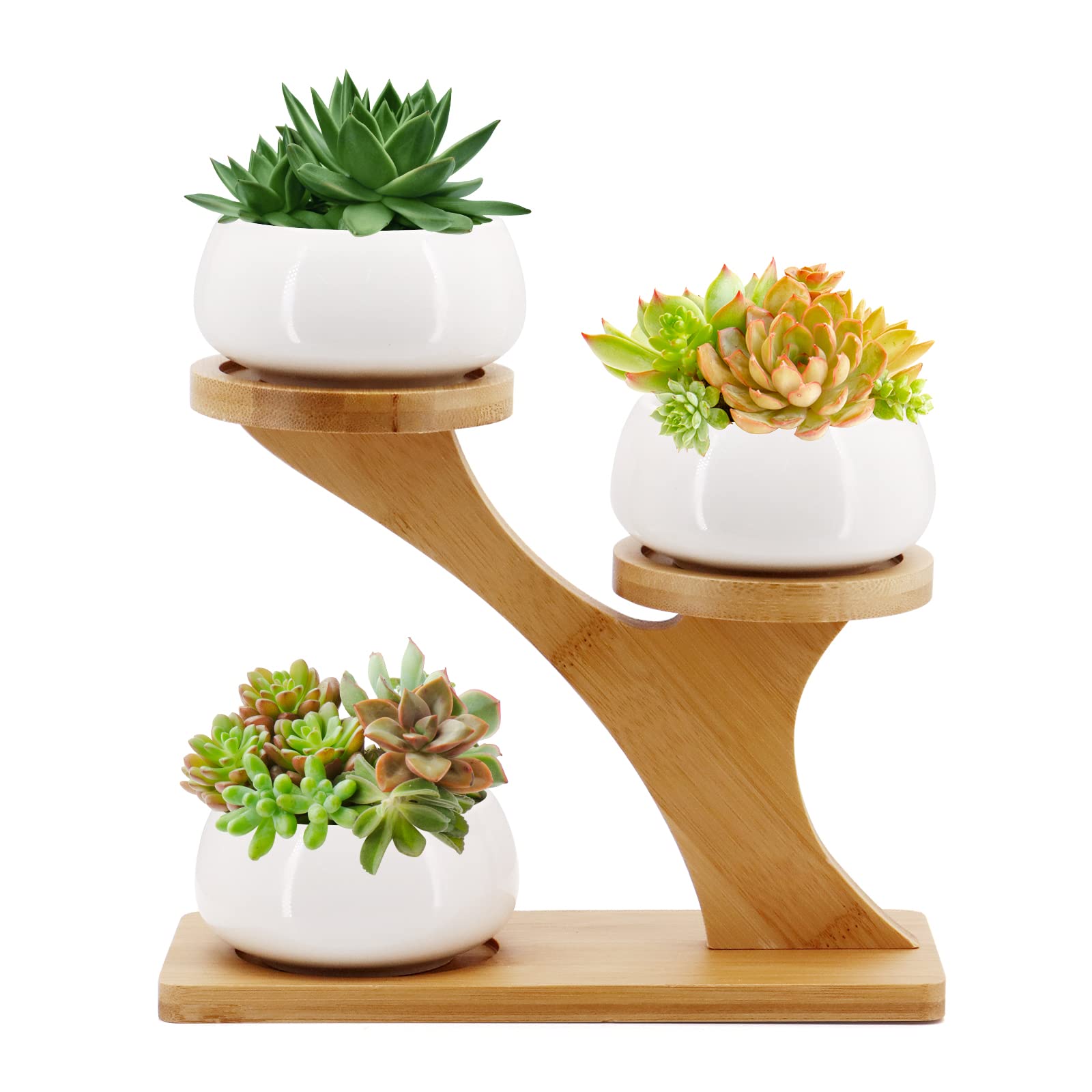Gearific Succulent Pots, Ceramic Flower Pot with Bamboo Tray Holder, Small Cactus Planter Pots for Home Office Desktop Windowsill Décor (Round) — image 1