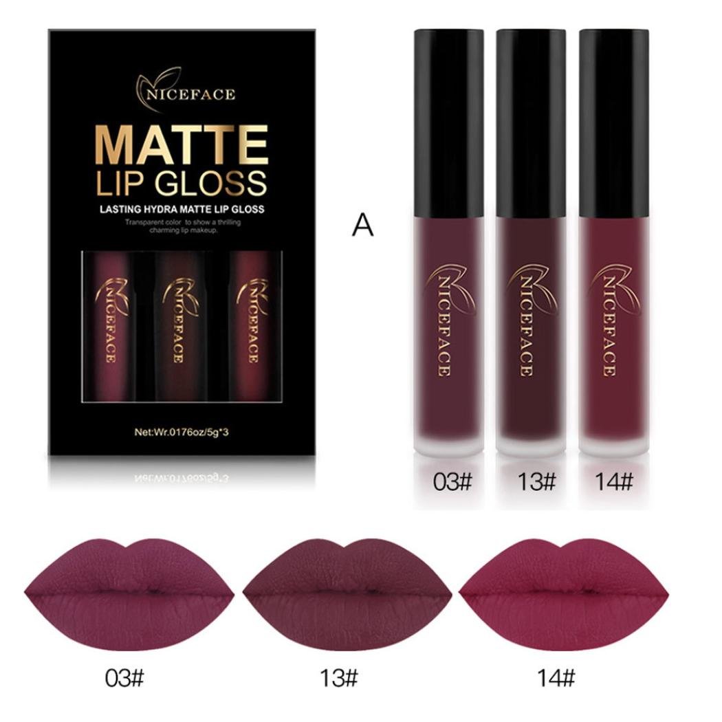 WensLTD 3PCS/Set Waterproof Matte Liquid Lipstick Cosmetic Sexy Lip Gloss Kit