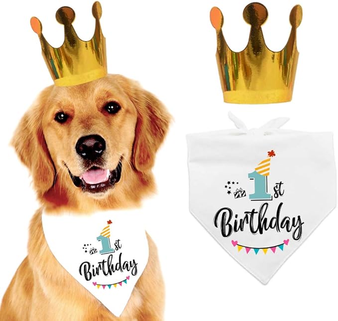 dog 1st birthday hat