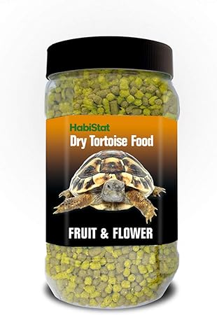dry tortoise food