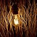 Clearance!! Vintage Thomas Edison LED Light Bulb, Dimmable 6W Antique LED Globe Light Bulb Filament Light Bulb-E26,E27-660LM-2700K-60W A19-Warm White