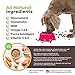 PointPet Glucosamine for Dogs, 90 Count - Hip & Joint Supplement - Dog Mobility Soft Chews with Chondroitin & MSM - Includes Omega 3, Vitamin C & E