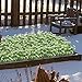 GTIDEA 4PCS Artificial Outdoor Plants Fake Shrubs Bundle House Office Garden Patio Yard Indoor Outdoor Decor