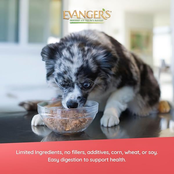 EVANGER’S HERITAGE CLASSIC LAMB & RICE DINNER DOG FOOD – 12 COUNT, 12.5 OZ EACH – GLUTEN & GRAIN FREE, COMPLETE BALANCED DIET FOR ALL LIFE STAGES – WET DOG FOOD