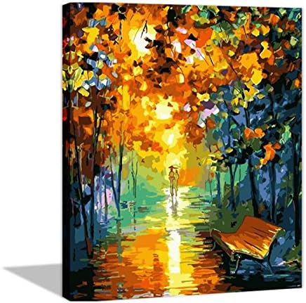 Diy Oil Painting Paint by number kits for adults Wall Art -Colorful Night Scenery 16x20inch