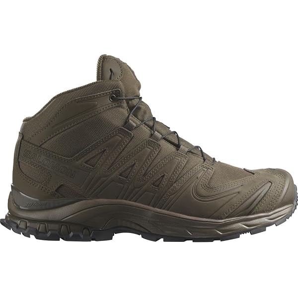 Amazon.com: Salomon Unisex XA FORCES MID GTX EN Boots, Ranger