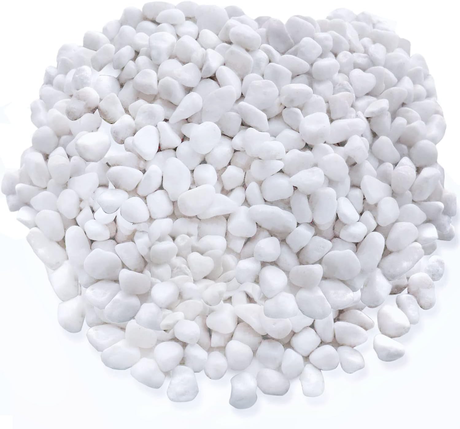 Hardscaping Materials - Polished White Pebbles 10 Lb. - ½ inch Bean Pebbles for Plants, Gardens, Décor, Landscaping, Succulent, Terrarium, 100% Natural Stone Pebbles Decorative Rocks without Fillers, Bright White Finish