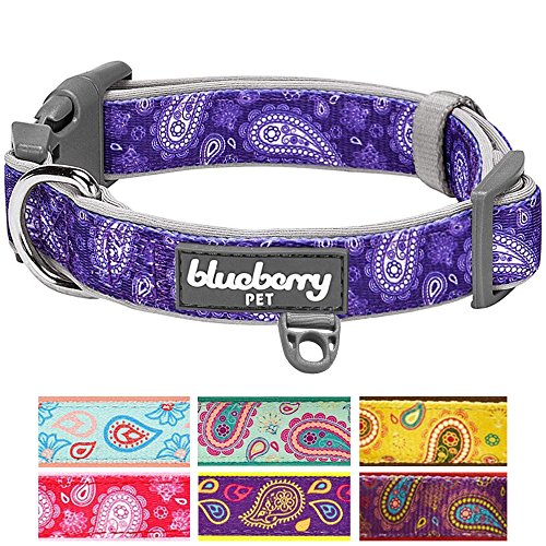 Blueberry Pet 7 Colors Soft & Comfy Paisley Flower Print Neoprene Padded Dog Collar, Violet, Medium, Neck 14.5"-20", Adjustable Collars for Dogs