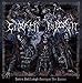 Dance and Laugh Amongst the Rotten