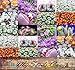 50+ Conophytum Species Mix Seeds - Cactus Mix - House Plants cactus cacti succulent For Greenhouse and Outdoor Too - These seeds are VERY small, each pack of seed will contain more than advertised. But if you are uncomfortable working with VERY small seeds please do NOT purchase this product