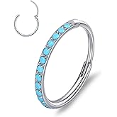 limerencia Nose Rings Hoop - 20G Titanium Turquoise Nose Ring for Women Men, Hinged Segment Septum Lip Rings Cartilage Conch Rook Helix Tragus Daith Earrings, Piercing Jewelry 6/8/10mm