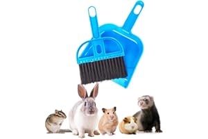 2 BROTHERS WHOLESALE Mini Broom and Dustpan Set - Compact Cleaning Kit for Home, Car, Camping, Small Spaces, Pet Cleanup, and Travel - Durable Small Broom and Dustpan Set Mini - Blue Broom