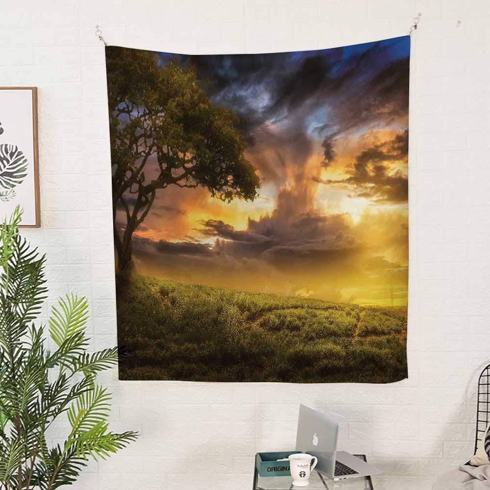 Amazon Com Treeoutdoor Tapestrydreamy Landscape Sunset At Hill