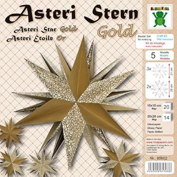 Asteri Stern Gold Weihnachten Fröbel Stern Basteln Advent