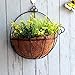 Candyqueen 1Pcs Hanging Wall Planter Iron Wall-Mounted Planter Beautiful Pot Flower Pot Coconut Inner