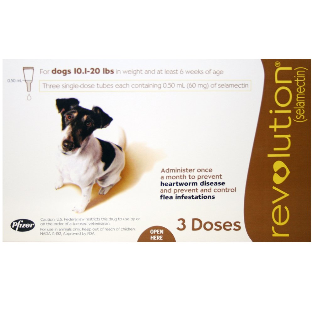 revolution for dogs amazon